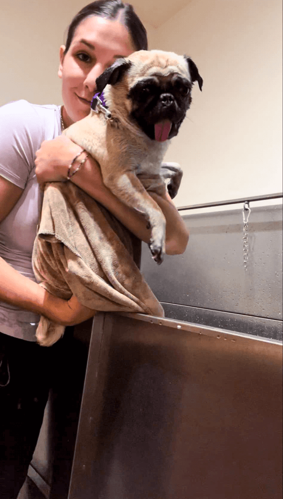 Catherine avec un carlin en sortant du bain